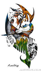 Sumatran Tiger artwork by Aarron Laidig