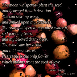 The Seeds Of Love Poem