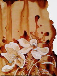 Blossoms in coffee and ink