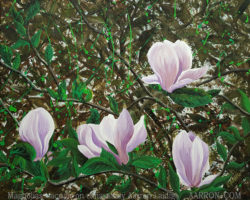 Magnolias painting by Aarron Laidig