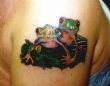 frogs
