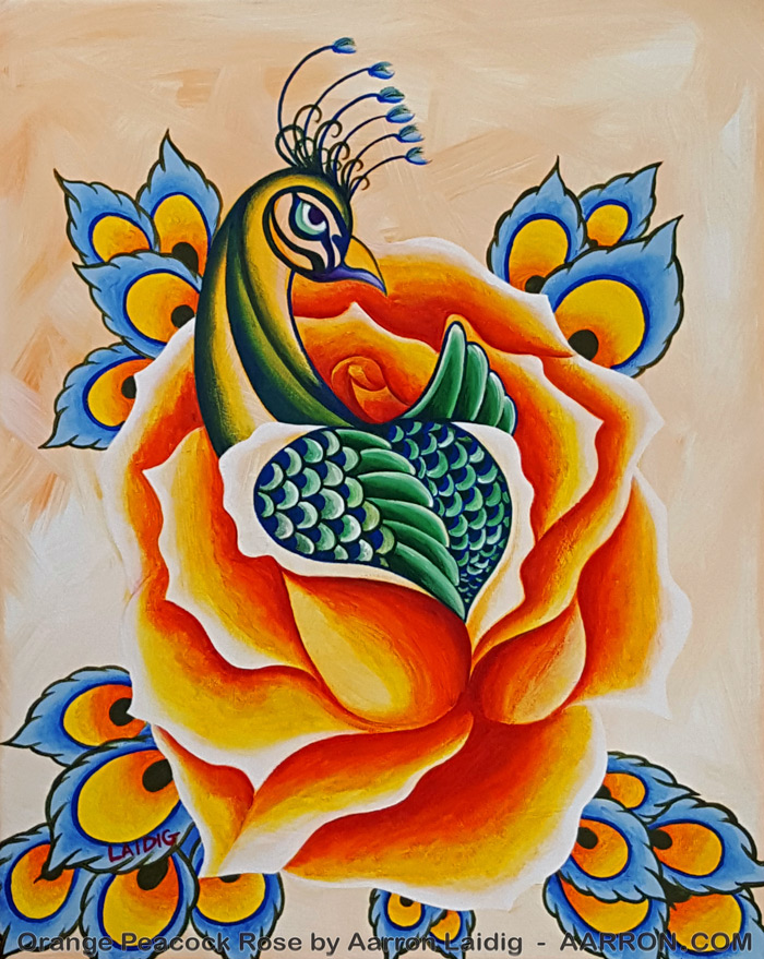 Orange Rose Peacock