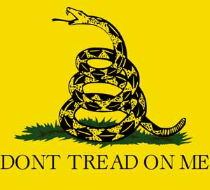 Don't tread on me example yellow flag