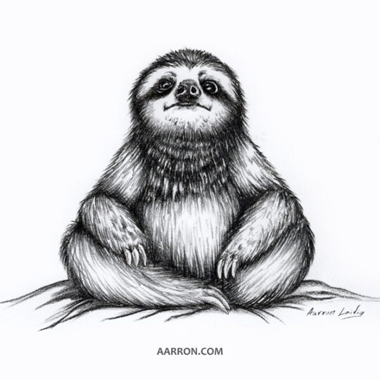 Stoic Meditation Sloth